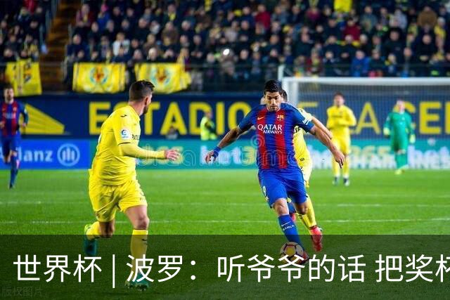 世界杯 | 波罗：听爷爷的话 把奖杯带回家