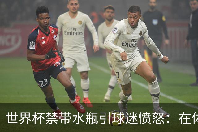 世界杯禁带水瓶引球迷愤怒：在体育场里买？难道更贵就更安全？