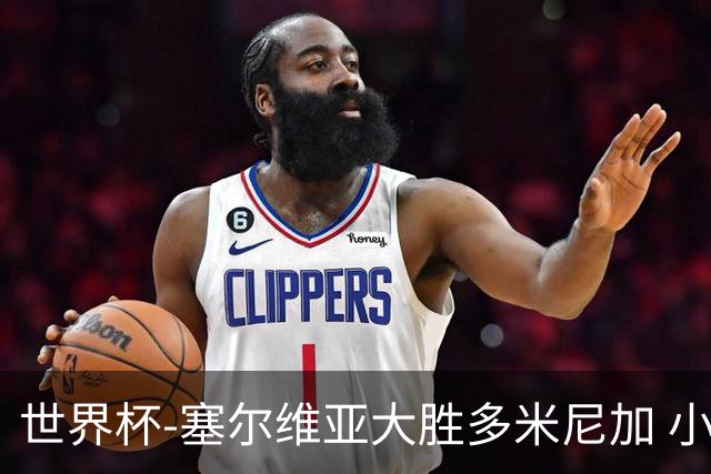 世界杯-塞尔维亚大胜多米尼加 小组第二进八强
