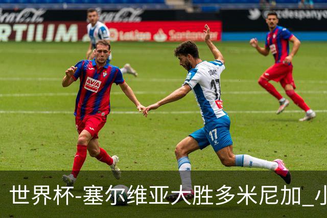 世界杯-塞尔维亚大胜多米尼加 小组第二进八强