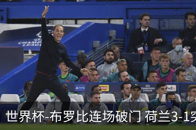 世界杯-布罗比连场破门 荷兰3-1突尼斯获小组头名将战摩洛哥