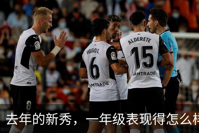 去年的新秀，一年级表现得怎么样呢【上】