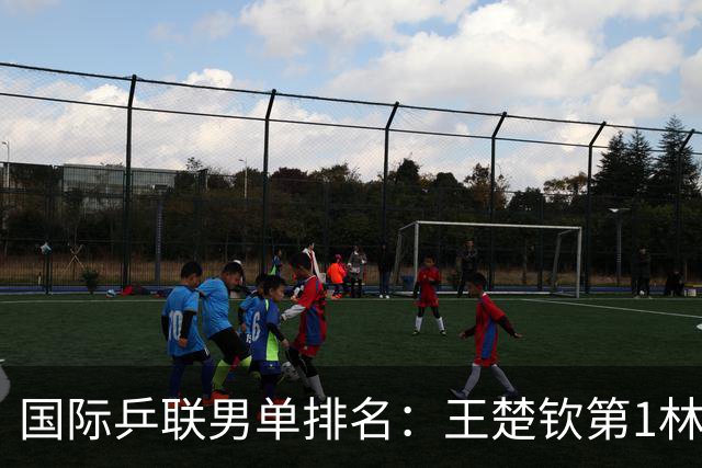 国际乒联男单排名：王楚钦第1林诗栋第6 松岛辉空第3生涯新高