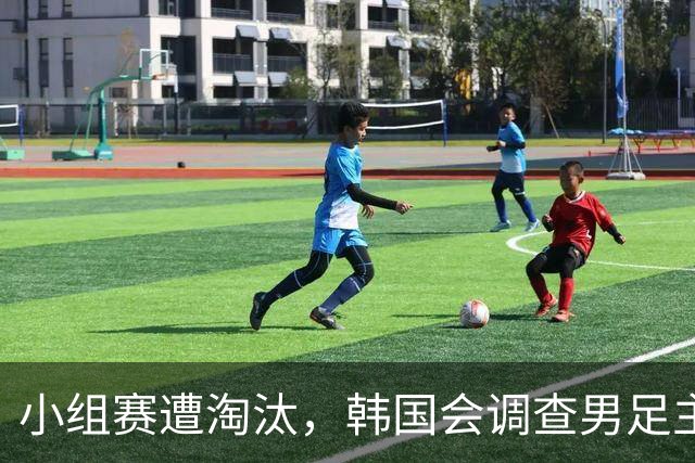 小组赛遭淘汰，韩国会调查男足主教练任命程序及足协管理等问题，讨论如何使其正常化