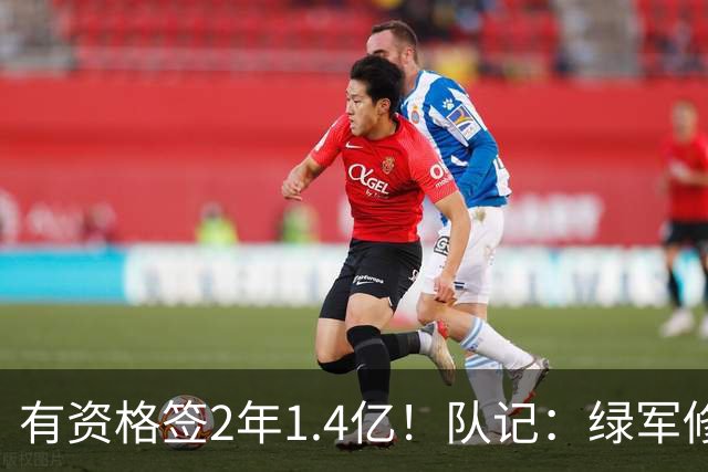 有资格签2年1.4亿！队记：绿军修复和布朗关系的最好办法就是续约